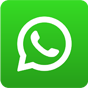 Whatsapp number